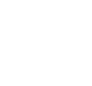 Form Icon